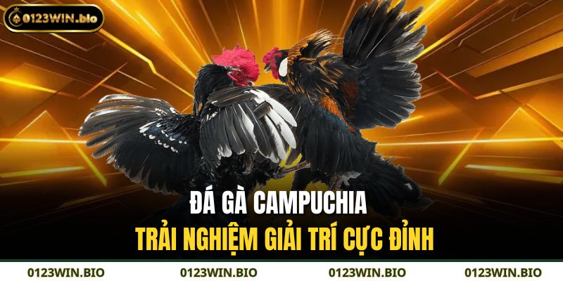 Đá gà Campuchia