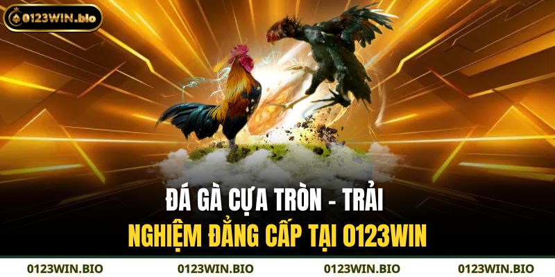đá gà cựa tròn