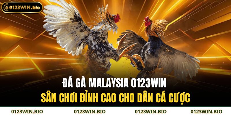 Đá gà Malaysia 0123WIN