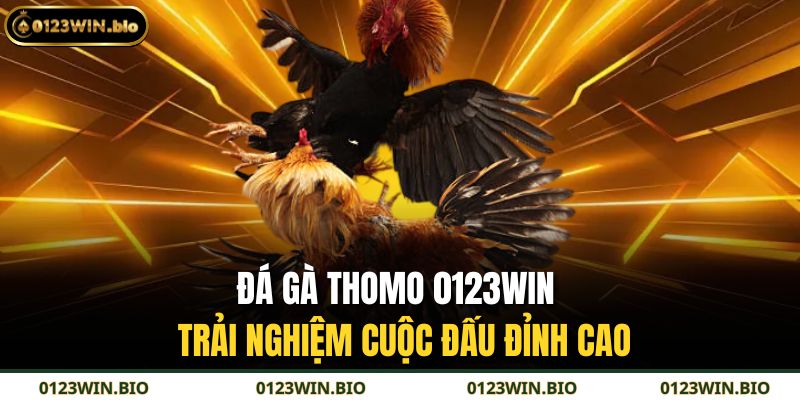 Đá gà Thomo 0123WIN